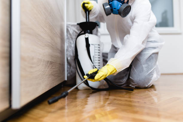 Best Residential Pest Control  in Steger, IL