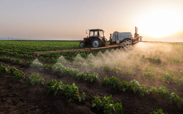 Best Pest Removal Services  in Steger, IL