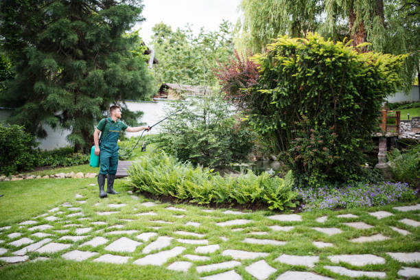Reliable Steger, IL Pest Control Solutions