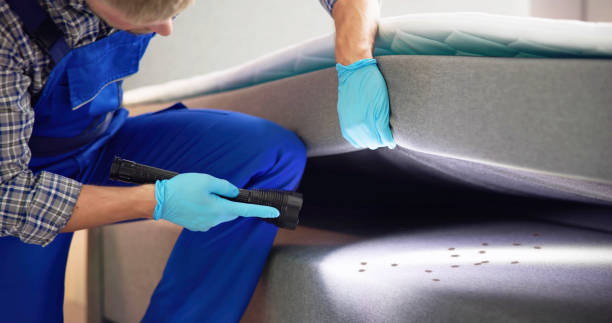 Best Best Pest Control Companies  in Steger, IL
