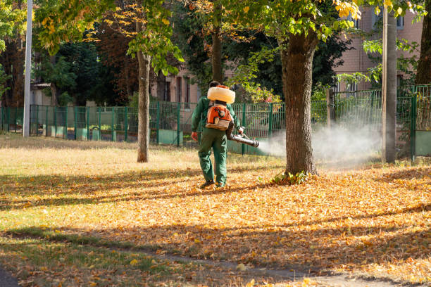 Best Commercial Pest Control Services  in Steger, IL